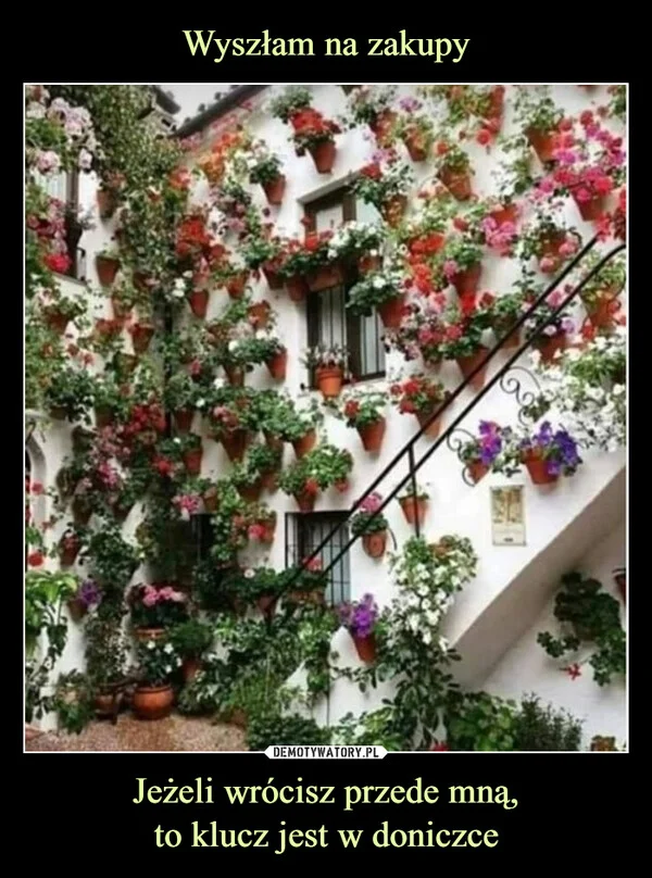 
    Wyszłam na zakupy Jeżeli wrócisz przede mną, to klucz jest w doniczce