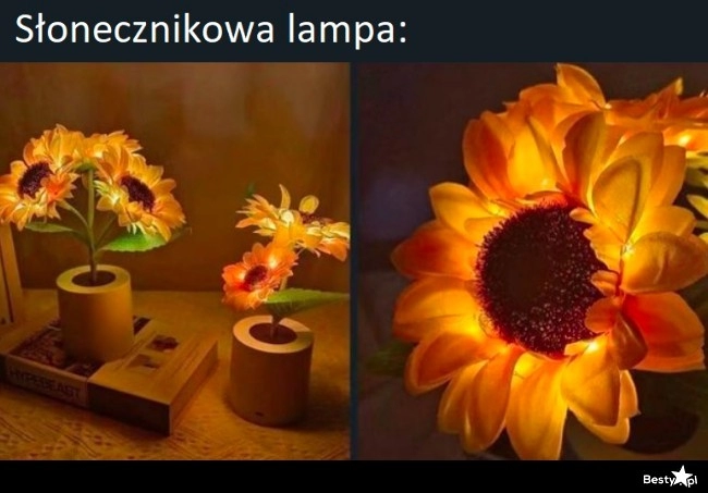 
    Lampka 