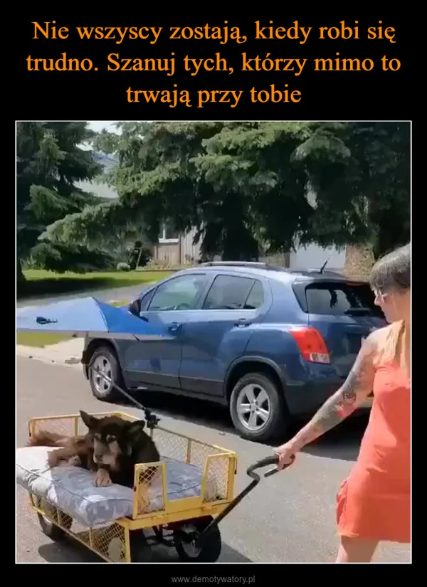 
    Nie wszyscy zostają, kiedy robi się trudno. Szanuj tych, którzy mimo to trwają przy tobie