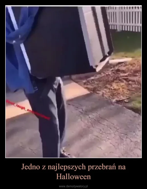 
    Jedno z najlepszych przebrań na Halloween