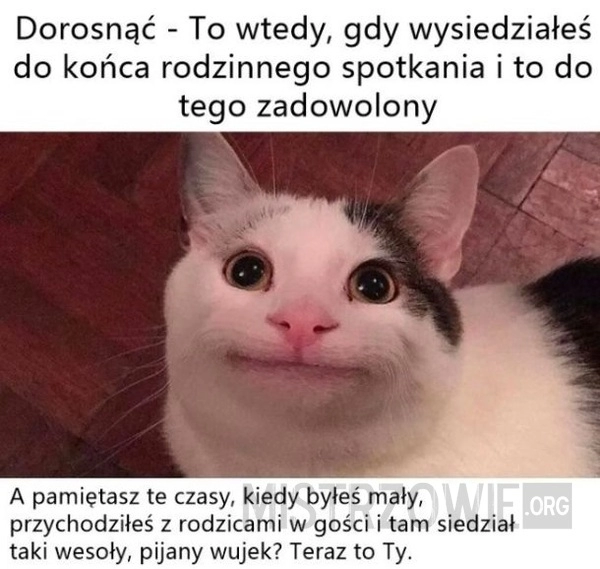 
    Dorosłość