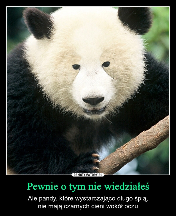 
    Pewnie o tym nie wiedziałeś