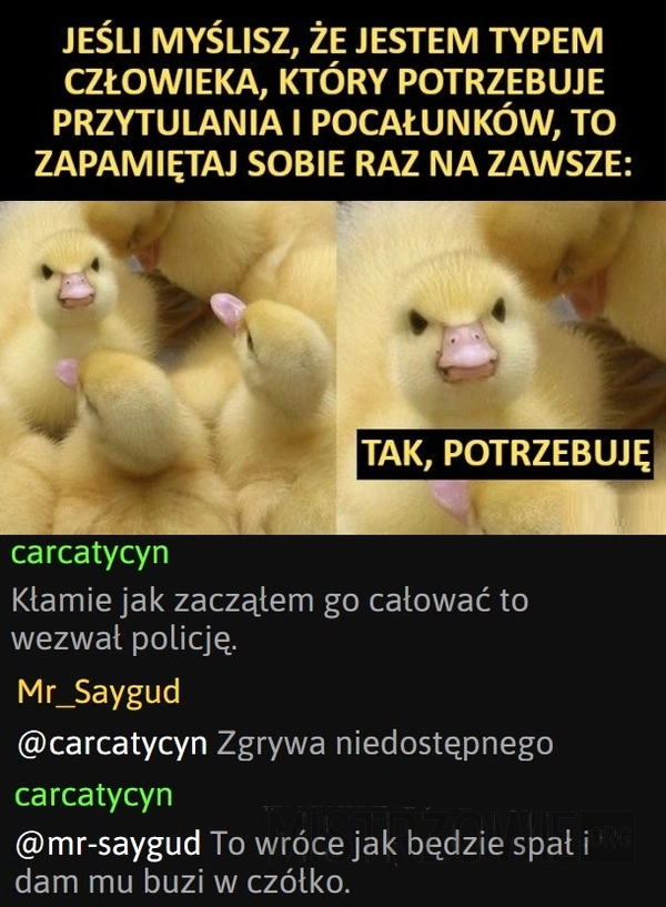 
    Typ człowieka