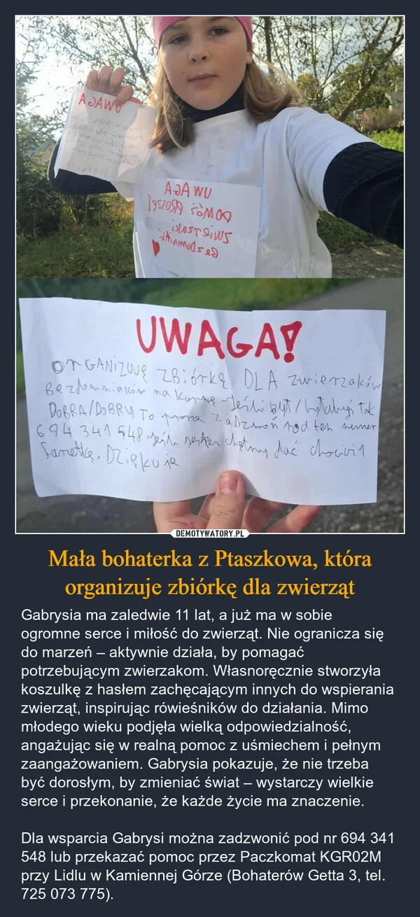 
    Mała bohaterka z Ptaszkowa, która organizuje zbiórkę dla zwierząt
