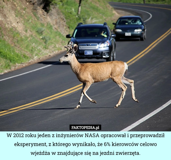 
    W 2012 roku jeden z inżynierów NASA opracował i przeprowadził eksperyment,