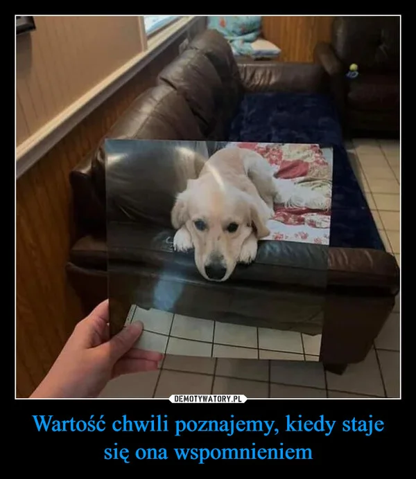 
    Wartość chwili poznajemy, kiedy staje się ona wspomnieniem