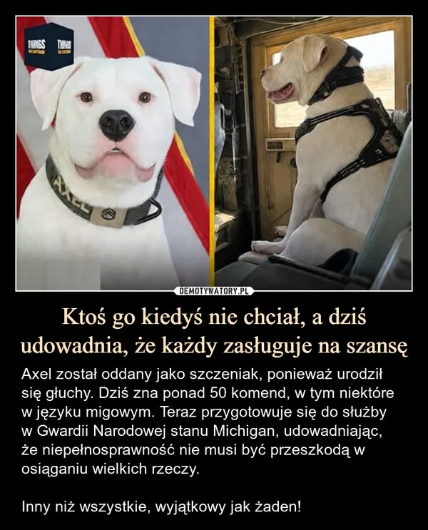 
    Ktoś go kiedyś nie chciał, a dziś udowadnia, że każdy zasługuje na szansę