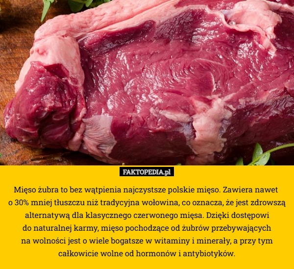 
    Mięso żubra to bez wątpienia najczystsze polskie mięso. Zawiera nawet 
o