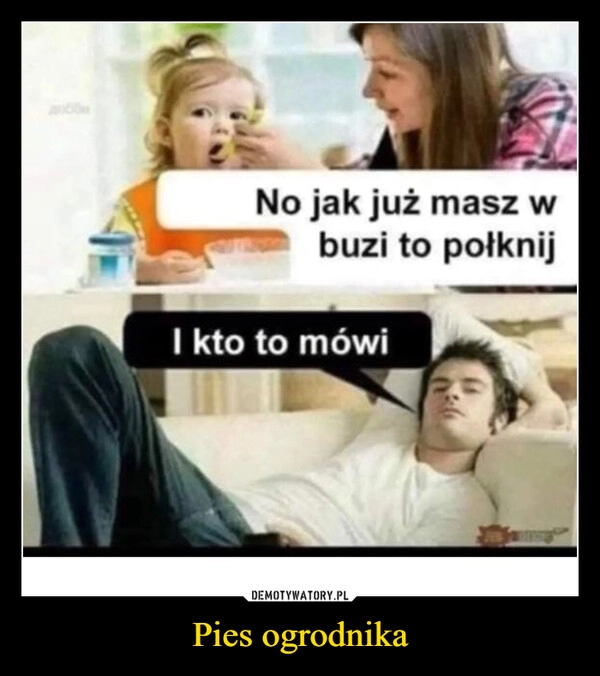 
    Pies ogrodnika