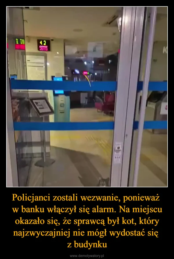 
    Policjanci zostali wezwanie, ponieważ w banku włączył się alarm. Na miejscu okazało się, że sprawcą był kot, który najzwyczajniej nie mógł wydostać się z budynku