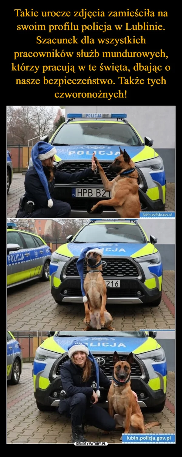 
    Takie urocze zdjęcia zamieściła na swoim profilu policja w Lublinie. Szacunek dla wszystkich pracowników służb mundurowych, którzy pracują w te święta, dbając o nasze bezpieczeństwo. Także tych czworonożnych!