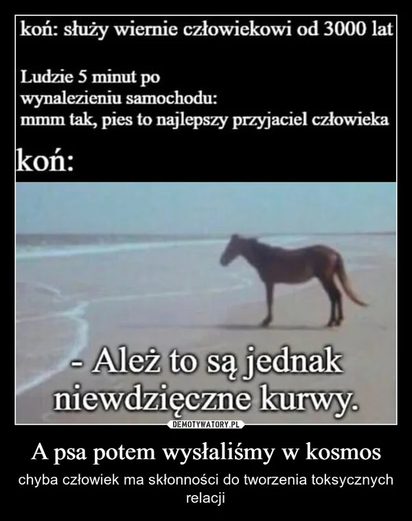 
    A psa potem wysłaliśmy w kosmos