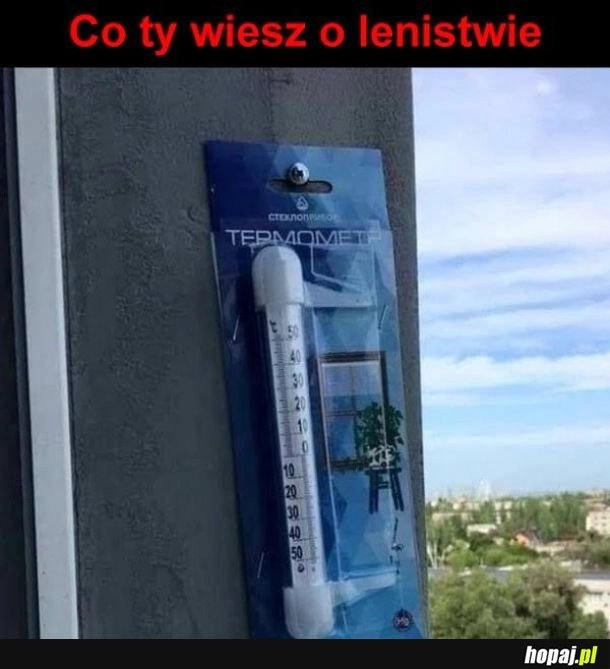 
    Może i lenistwo, ale jakie pomysłowe!