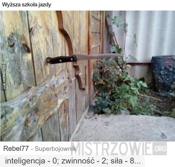 
    Wyższa szkoła jazdy