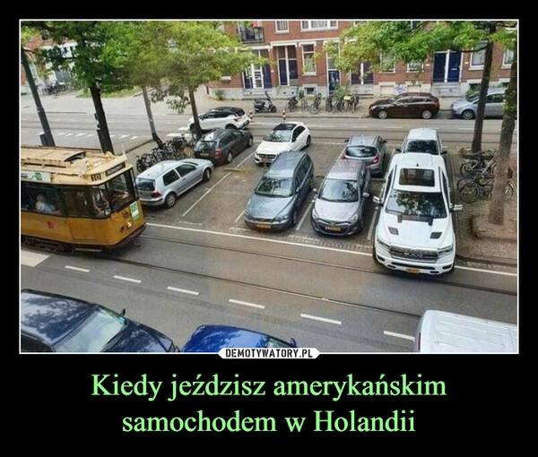 
    
Kiedy jeździsz amerykańskim samochodem w Holandii 