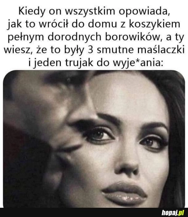 
    Zapalony grzybiarz