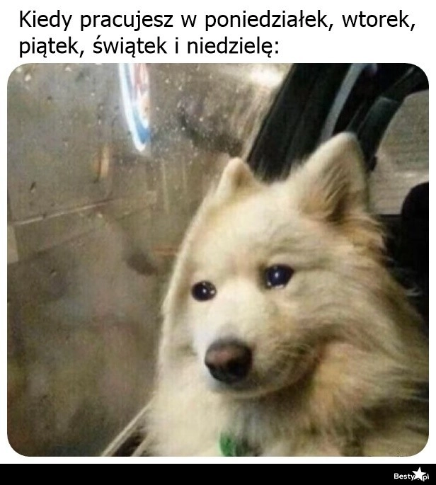 
    To tyle z majóweczki 