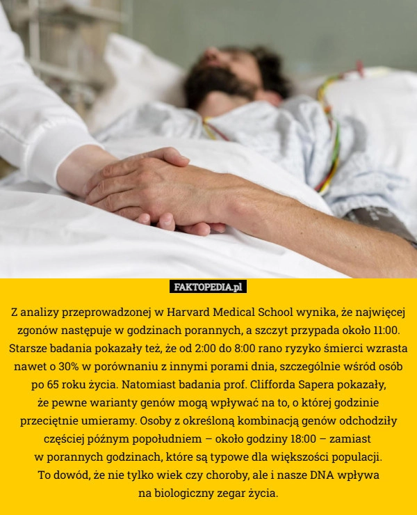 
    Z analizy przeprowadzonej w Harvard Medical School wynika, że najwięcej