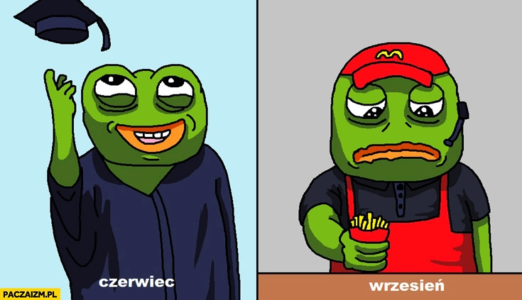 
    Smutna żaba czerwiec wrzesień obrona dyplomu McDonalds