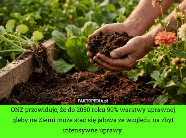 
    ONZ przewiduje, że do 2050 roku 90% warstwy uprawnej gleby na Ziemi może