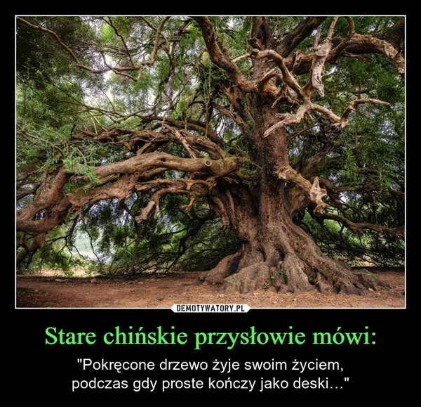 
    Stare chińskie przysłowie mówi: