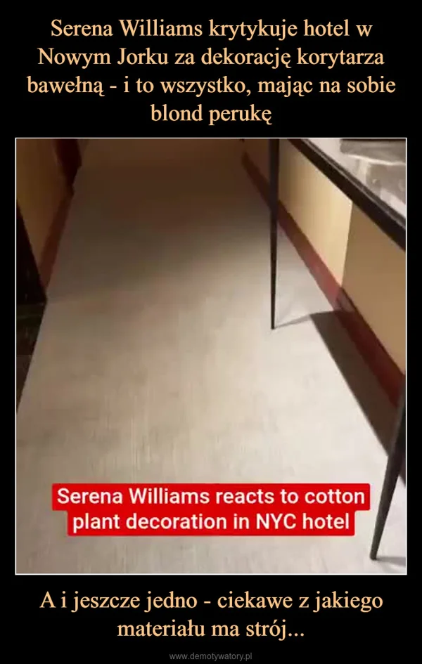 
    Serena Williams krytykuje hotel w Nowym Jorku za dekorację korytarza bawełną - i to wszystko, mając na sobie blond perukę A i jeszcze jedno - ciekawe z jakiego materiału ma strój...