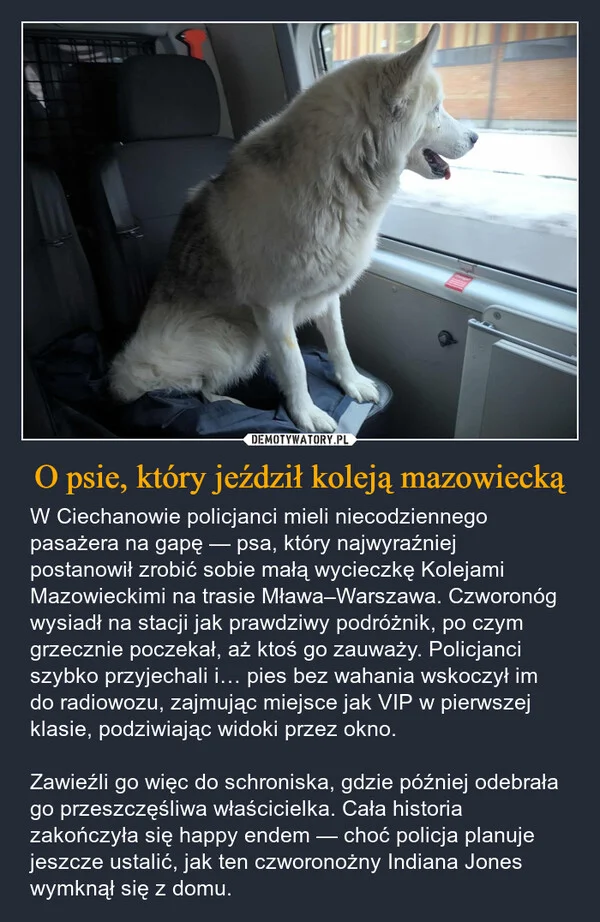 
    O psie, który jeździł koleją mazowiecką