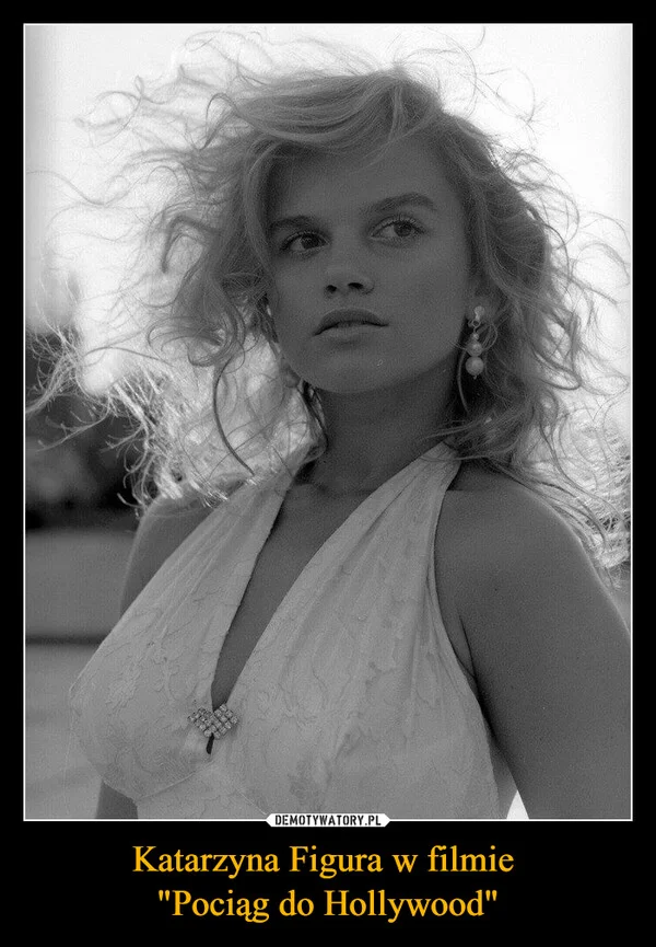 
    Katarzyna Figura w filmie 