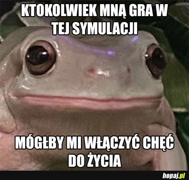 
    Chęć do życia