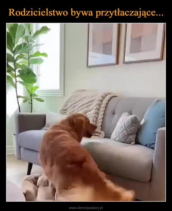 
    Rodzicielstwo bywa przytłaczające...