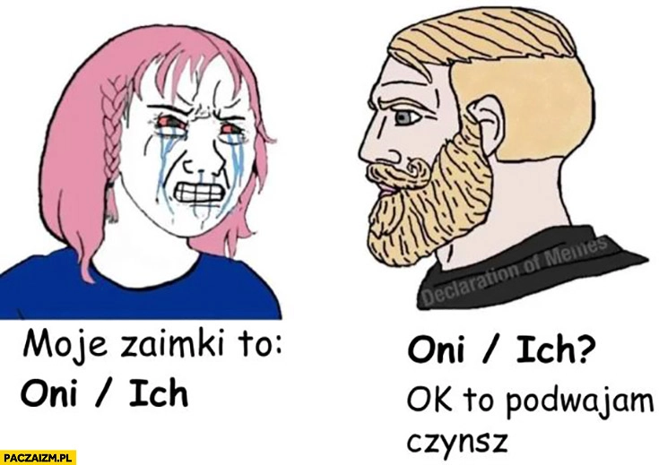 Moje zaimki to oni/ich, ok to podwajam czynsz landlord rentier