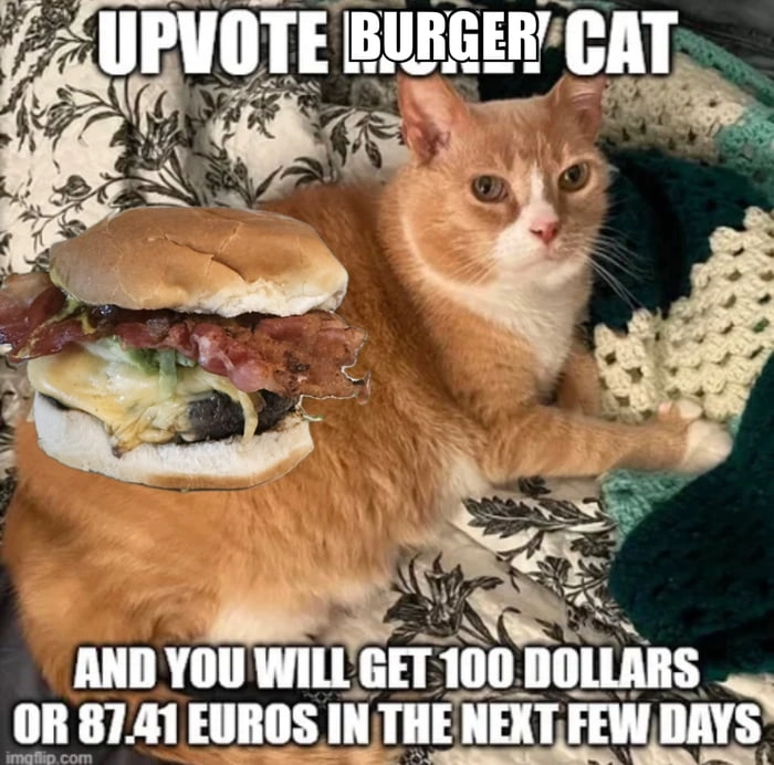 
    Burger boyz get gains