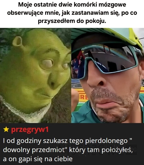 
    Komórki mózgowe