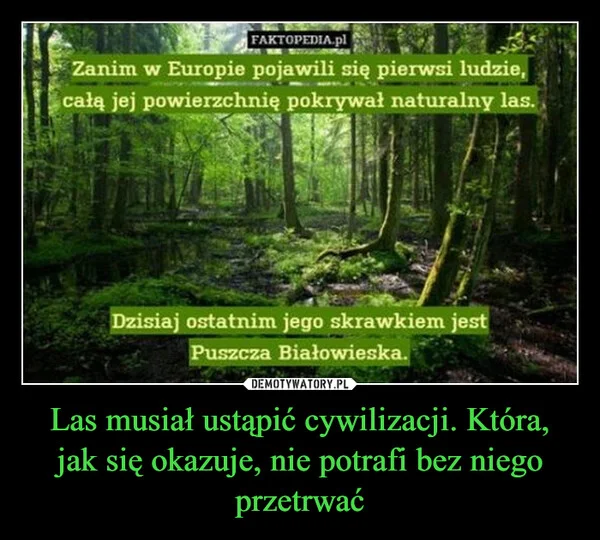 
    Las musiał ustąpić cywilizacji. Która, jak się okazuje, nie potrafi bez niego przetrwać