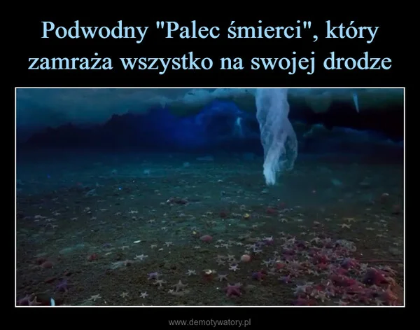 
    Podwodny 
