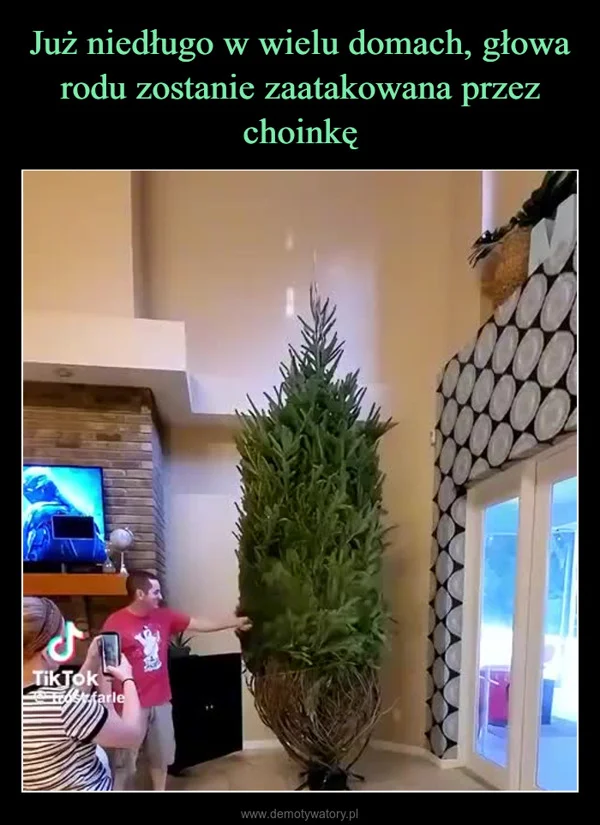 
    Już niedługo w wielu domach, głowa rodu zostanie zaatakowana przez choinkę