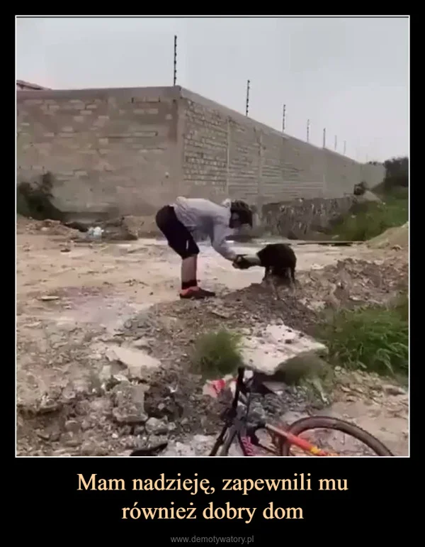 
    Mam nadzieję, zapewnili mu również dobry dom