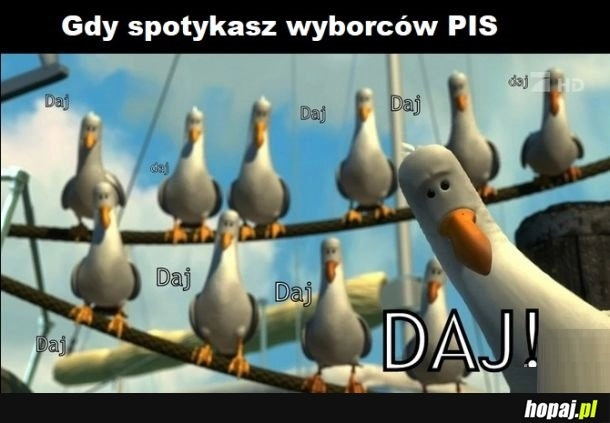 
    Wyborcy