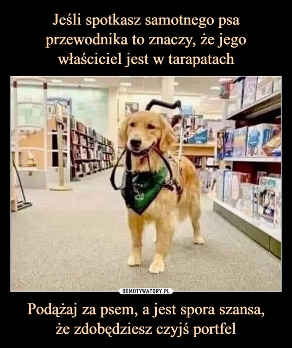 
    Jeśli spotkasz samotnego psa przewodnika to znaczy, że jego właściciel jest w tarapatach Podążaj za psem, a jest spora szansa,
że zdobędziesz czyjś portfel