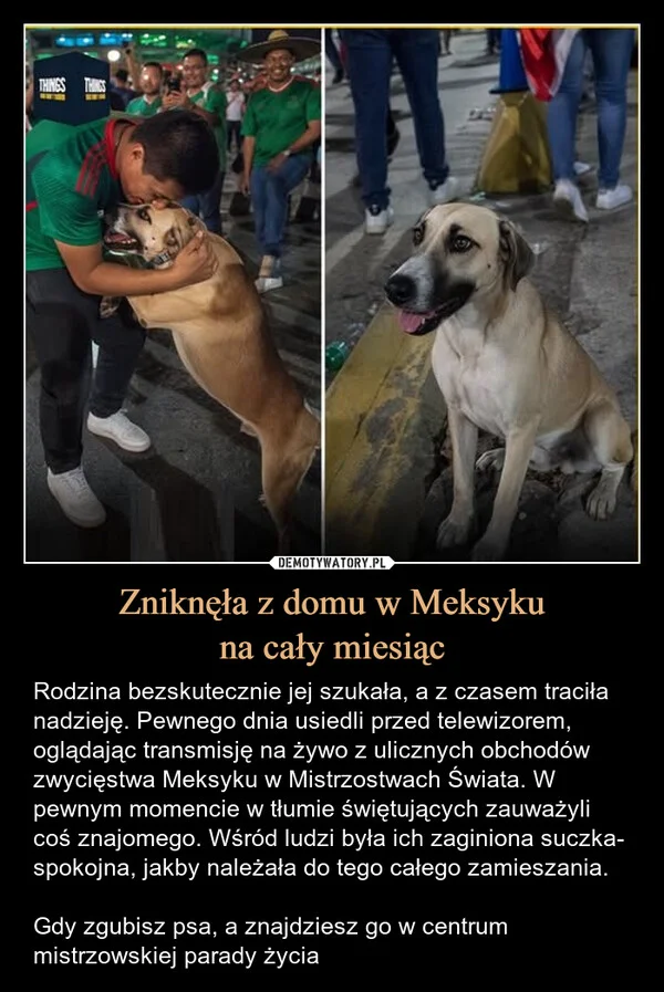 
    Zniknęła z domu w Meksyku na cały miesiąc