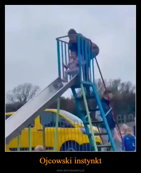 
    Ojcowski instynkt
