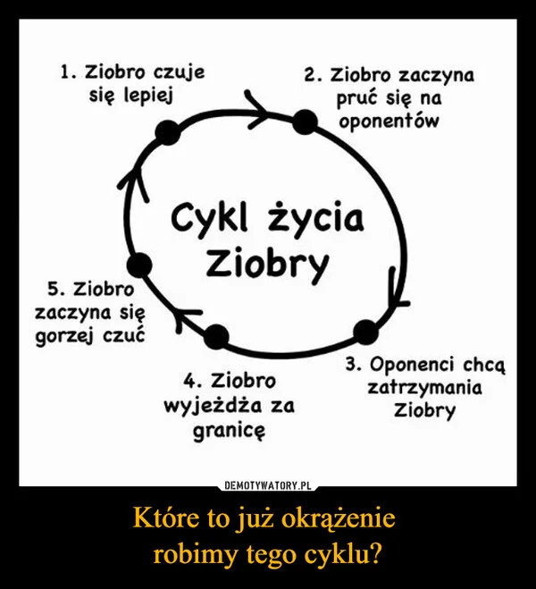 
    Które to już okrążenie robimy tego cyklu?