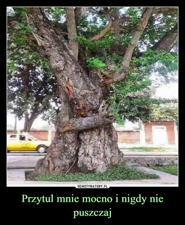 
    Przytul mnie mocno i nigdy nie puszczaj