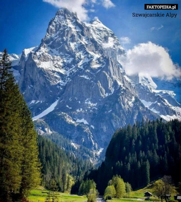 
    Szwajcarskie Alpy