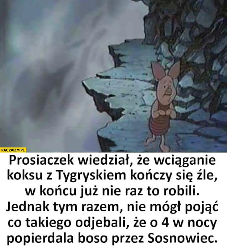 
    Prosiaczek wiedział, że wciąganie koksu z Tygryskiem kończy się źle, jednak tym razem nie mógł pojąć co takiego odwalili, że o 4 w nocy popierdziela boso przez Sosnowiec