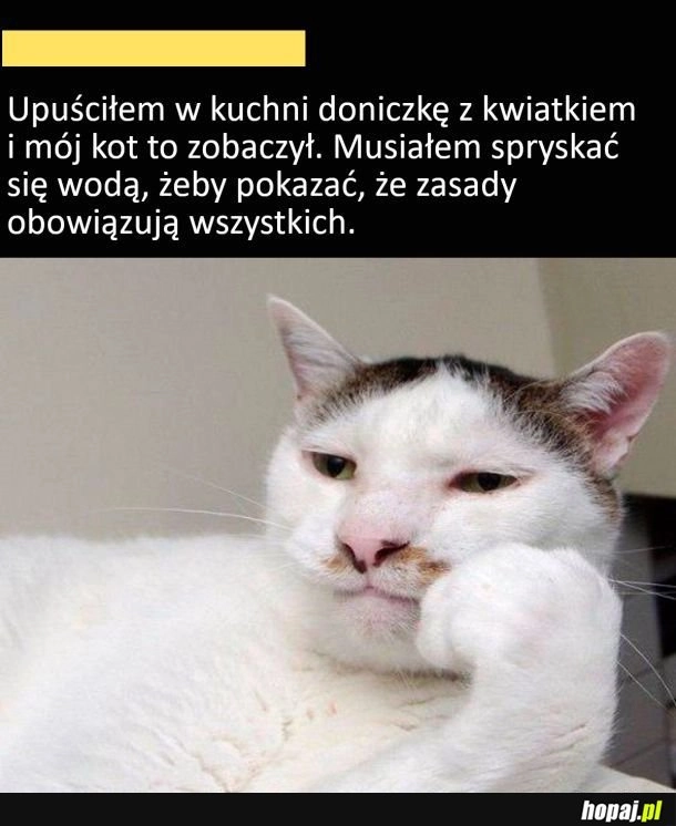 
    Kara musi być xd