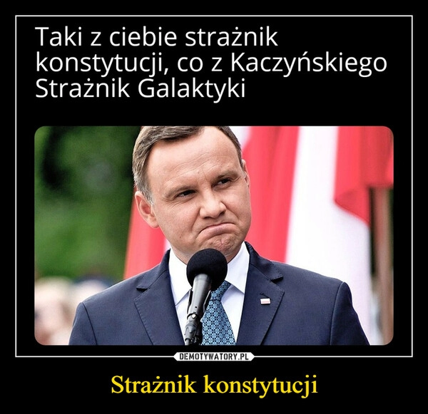 
    Strażnik konstytucji