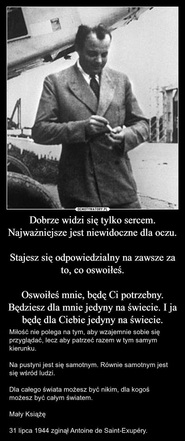 
    Dobrze widzi się tylko sercem. Najważniejsze jest niewidoczne dla oczu.

Stajesz się odpowiedzialny na zawsze za to, co oswoiłeś.

Oswoiłeś mnie, będę Ci potrzebny. Będziesz dla mnie jedyny na świecie. I ja będę dla Ciebie jedyny na świecie.