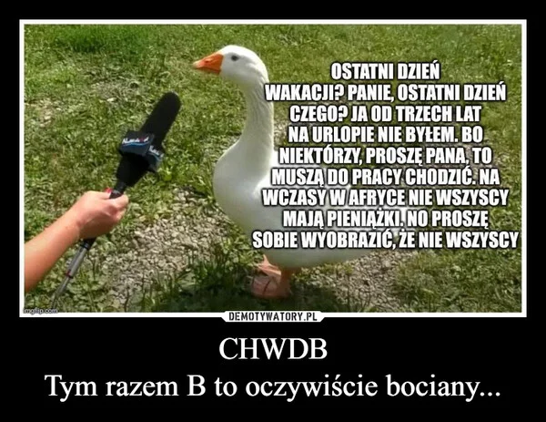 
    CHWDB Tym razem B to oczywiście bociany...