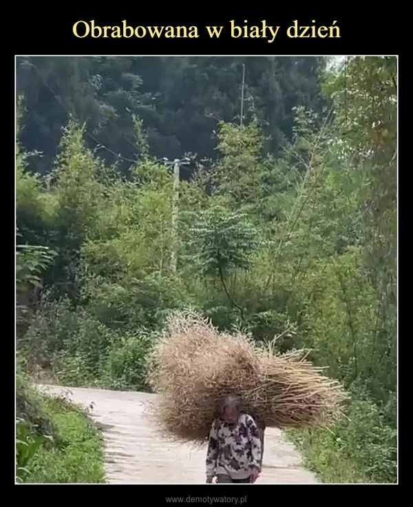 
    Obrabowana w biały dzień